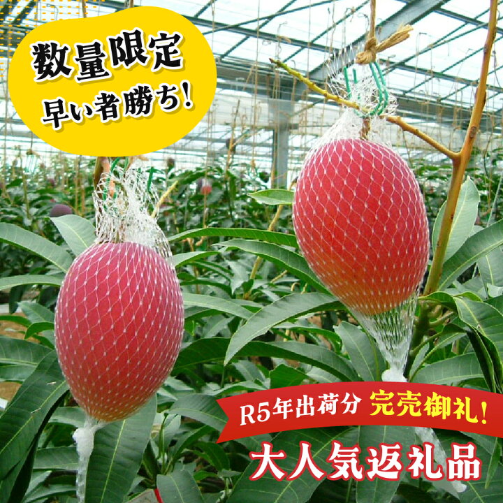 楽天市場】【ふるさと納税】【先行予約】＜数量限定＞宮崎完熟マンゴー 
