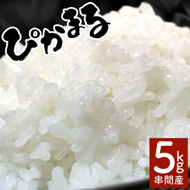 【ふるさと納税】＜数量限定＞【超早場米】低アミロース米『 ぴかまる 』5kg 令和7年産 契約栽培米・注目の 低アミロース 米！ 契約栽培米 秋 旬 【中島米穀店】【KU153】
