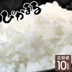 yӂ邳Ɣ[Łzʌ聄yցES2zߘa7NYuāv ҂܂ v10kgi5kg×2j  ͂I _͔|āEڂ̒A~[XāI H {  VāyčXzyKU15