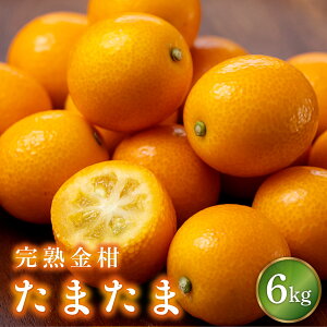 yӂ邳Ɣ[Łzs\Eʌ聄 IׂeʁIn܂3kg`6kg {uh̊n񂩂I 炲Ƃ܂邩łIyKU432z