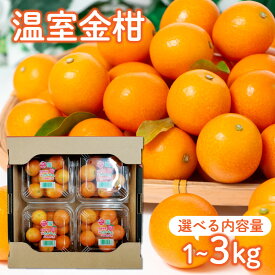 【ふるさと納税】【先行予約】＜2026年発送＞選べる容量！温室金柑1kg～3kg 果物 果汁 フルーツ 金柑 きんかん ふるさと おすそ分け グルメ おすすめ ギフト 贈り物 宮崎県 先行 先行受付 温室 温室きんかん 果実 デザート スイーツ 宮崎 串間市 送料無料