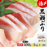 新鮮な黒瀬ぶりを下処理して真空パックでお届けふるさと納税 串間市 特産品 ...