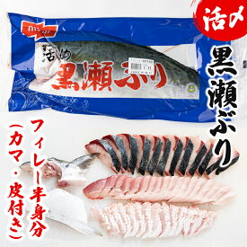 【ふるさと納税】高評価！活じめ！黒瀬ぶりの生鮮ブリフィレー 1.5kg前後 刺身や煮物、焼き物等の料理に！冷蔵 しゃぶしゃぶ たたき 海鮮丼 お取り寄せ グルメ ギフト 贈答用 お歳暮 お中元 お祝い 人気 大満足 送料無料 宮崎県 串間市【KRBF15】