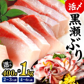 【ふるさと納税】＼ランキング入賞！／高評価！活じめ！黒瀬ぶりの生鮮ブリロイン 2節~3節 400g 1kg 刺身 海鮮 海産物 魚 水産物 海鮮丼 ぶりしゃぶ 生食 冷蔵 しゃぶしゃぶ 国産 ブリ 贈答用 おすそ分け ふるさと お刺身 食品 ぶり大根 鮮魚 人気 おすすめ 宮崎県 串間市