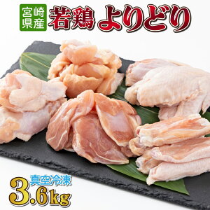 yӂ邳Ɣ[Łz{ǂ3.6kgZbg ^pbN Jbg   ؐg {Zbg { ؐg H H  `Lu Ⓚ   BBQ  {茧Y Y 