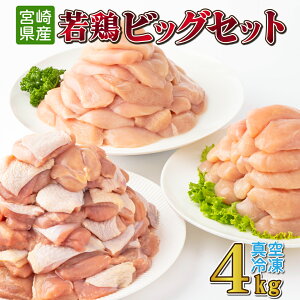 yӂ邳Ɣ[Łz{4kgrbOZbg ^pbN Jbg   ؐg {Zbg { ؐg ނːؐg ؂Ȃ Ⓚ   BBQ  {茧Y Y yTRT08z
