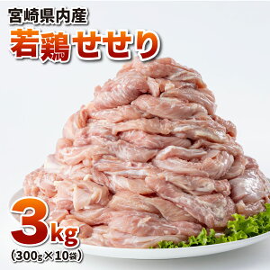 yӂ邳Ɣ[Łz{() 3kgZbg {   ^pbN   { Ⓚ  YΏ ē  BBQ  {茧Y Y yTRT11z