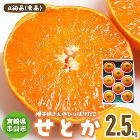 【ふるさと納税】【先行予約】＜数量限定＞＜2027年2月中旬頃から順次発送予定＞《A級品》 順子姉さんのひっぱりだこ愛情せとか 2.5kg 果物 フルーツ デザート スイーツ ギフト プレゼント 贈り物 贈答 プレゼント ふるさと おすすめ みかん 特産品 果汁 宮崎県 串間市