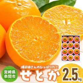 【ふるさと納税】【先行予約】＜数量限定＞＜2027年2月中旬頃から順次発送予定＞溢れ出る果汁！ 順子姉さんのひっぱりだこ愛情せとか 2.5kg 果物 フルーツ デザート スイーツ ギフト プレゼント 贈り物 贈答 プレゼント ふるさと おすすめ みかん 特産品 果汁 宮崎県 串間市