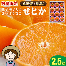 【ふるさと納税】【数量限定・A級品】＜先行予約受付中！2026年2月中旬以降発送予定＞ 順子姉さんのひっぱりだこ愛情せとか 2.5kg 果汁たっぷりの柑橘の女王をご自宅で！【KU302】