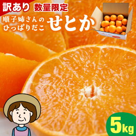 【ふるさと納税】【先行予約】＜数量限定＞＜2027年2月中旬頃から順次発送予定＞ 《訳あり》順子姉さんのひっぱりだこ愛情せとか 5kg 果物 フルーツ デザート スイーツ ギフト グルメ 特産品 贈り物 贈答 プレゼント ふるさと おすすめ 果肉 お取り寄せ みかん 宮崎県 串間市