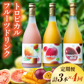 【ふるさと納税】【定期便・全4回】驚きの果実感！トロピカルフルーツドリンク(3本・各720ml、マンゴー、グァバ、パッションフルーツ)×4回 ドリンク フルーツドリンク 果汁入り飲料 トロピカルジュース 飲み比べ セット 詰め合わせ 贈答 贈り物 ギフト プレゼント 串間市
