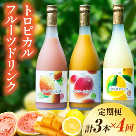 【ふるさと納税】【定期便・全4回】驚きの果実感！トロピカルフルーツドリンク(3本・各720ml、グァバ、マンゴー、日向夏)×4回 ドリンク フルーツドリンク 果汁入り飲料 トロピカルジュース 飲み比べ セット 詰め合わせ 贈答 贈り物 ギフト プレゼント お中元