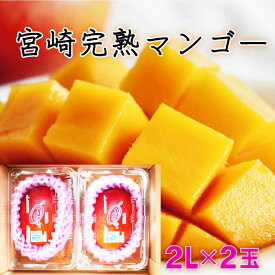 【ふるさと納税】＜先行予約＞【数量限定】みやざき完熟マンゴー 約700g以上（2Lサイズ2個入[350g〜459g]×2個） 宮崎県産の完熟マンゴー 2026年5月より順次発送【串間市大束農業協同組合】【KU394】