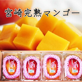 【ふるさと納税】＜先行予約＞【数量限定】みやざき完熟マンゴー 約1.4kg以上（2Lサイズ4個入[350g〜459g]×4個） 宮崎県産の完熟マンゴー 2026年5月より順次発送【串間市大束農業協同組合】【KU381】