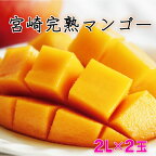 ＜先行予約受付中・数量限定＞宮崎完熟マンゴー 2L×2玉（350g～449g以上×2玉）宮崎県産の完熟マンゴー 季節の フルーツ 果物 くだもの まんごー【KU019】