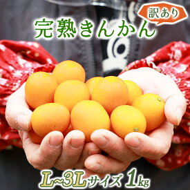 【ふるさと納税】＜期間限定・数量限定＞【訳あり】完熟きんかん 1kg【玉様ファーム】【ku446】 宮崎県 串間市 送料無料 果物 フルーツ Lサイズ 2Lサイズ