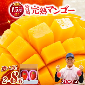 【ふるさと納税】高評価★4.91【選べる内容量】糖度平均15度以上！高評価の宮崎完熟マンゴー（2L×2玉入・簡易箱入）完熟 マンゴー 完熟マンゴー 果物 フルーツ デザート スイーツ グルメ 特産品 宮崎 甘み 果実 おすそ分け お取り寄せ ふるさと おすすめ 宮崎県 串間市