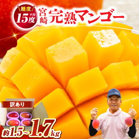 【ふるさと納税】【数量限定】糖度は最低でも13度以上、平均15度以上！ご家庭用 宮崎完熟マンゴー1.5〜1.7kg 訳あり 果物 果汁 果実 青果物 フルーツ デザート 完熟 マンゴー 完熟マンゴー 宮崎 スイーツ 贈り物 贈答 ご褒美 ギフト グルメ 宮崎県 串間市