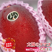 楽天市場 ふるさと納税 宮崎県 西都産完熟マンゴー 太陽のタマゴ 約１ｋｇ ｊａ西都 先行予約 宮崎県西都市