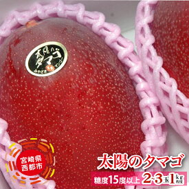 【ふるさと納税】宮崎県　西都産完熟マンゴー「太陽のタマゴ」約1kg（JA西都）【数量限定・先行予約】