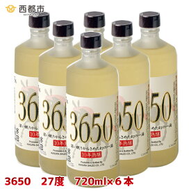 【ふるさと納税】トンネルで10年間熟成された麦焼酎6本セット 神楽酒造 ふるさと納税 宮崎 焼酎 長期貯蔵＜5-1＞