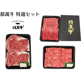 【ふるさと納税】都萬牛 特選セット1kg（ステーキ・すき焼き しゃぶしゃぶ用スライス・焼肉） ふるさと納税 すき焼き しゃぶしゃぶ 焼肉 国産 牛肉 宮崎