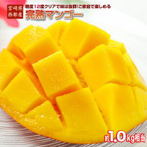 yӂ邳Ɣ[Łzw󂠂xn}S[ 1kgiJAsj{茧 ssY ӂ邳Ɣ[ ƒp {}S[us\vߘa8Nn ʕ t[c1.5-64s\