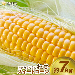 yӂ邳Ɣ[Łz񂿂̃XC[gR[uCG[v7kgi15{`20{jƂ낱 ys\zssY 