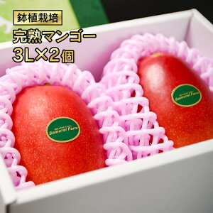 yӂ邳Ɣ[Łz{茧 n}S[3L×2issYjuA͔|v{us\v ʕ t[c2-70