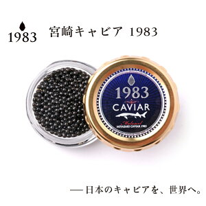 yӂ邳Ɣ[Łz{LrAuMIYAZAKI@CAVIAIAR1983v20g 4.5-1WpLrA {茧 ss Y