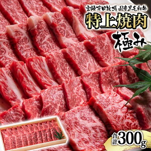 yӂ邳Ɣ[Łz{Lcq Yјa ē 300g ɂ {EMO Y  ē ʌ { Ƃ TCg1.1-40