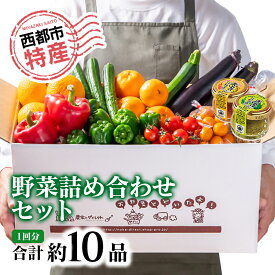 【ふるさと納税】野菜セット【先行予約】令和9年収穫分　旬の野菜と加工品セット＜32-2a＞