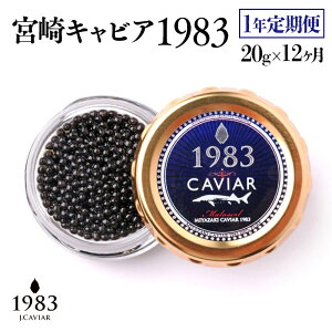 yӂ邳Ɣ[ŁzցwMIYAZAKI CAVIAR 1983x20g×1254-11N Y LrA WpLrA