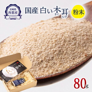 yӂ邳Ɣ[ŁzuYv炰i80gj/ۏ͔|/_sgp/{茧ssY