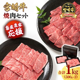 【ふるさと納税】「宮崎牛」焼肉セット 合計1kg『畜産農家応援』「数量限定」令和7年度和牛肉販売促進等支援緊急対策事業 宮崎県 西都市 赤身と肩ロース 牛 肉 牛肉 国産 ふるさと納税 宮崎牛 焼肉 黒毛和牛 数量限定 ミヤチク ＜1.7-40＞「レビューキャンペーン対象」