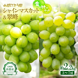 【ふるさと納税】『シャインマスカット』『翠峰』詰合せ（約2.2kg）食べ比べセット【先行予約】西都市 水間ぶどう＜2-4　16-5a＞