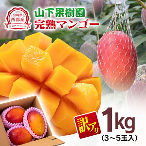 yӂ邳Ɣ[ŁzRʎ n}S[1kgu󂠂v3`5 {茧 sY1.5-25ys\zߘa8Nn ʕ t[c