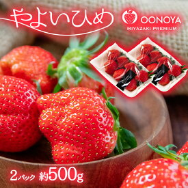 【ふるさと納税】苺大野屋「やよいひめ」2パック（約500g）宮崎県 西都市産 いちご 訳あり ご家庭用 ふぞろい さいと サイト 先行予約 果物 フルーツ＜1-294＞★