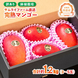 【ふるさと納税】『訳あり』宮崎完熟マンゴー3〜5玉（約1.2kg）（西都産）【鉢植栽培】西都市 宮崎 令和8年収穫分 果物 フルーツ 先行予約＜24-5a＞