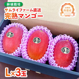 【ふるさと納税】完熟マンゴー L×3個（西都産）鉢植栽培 西都市 宮崎 宮崎完熟マンゴー 先行予約＜1.5-233＞