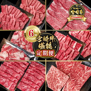 yӂ邳Ɣ[Łzwցxu{苍v6ց9-13 [X orEf ؂藎Ƃuʌv{苍 XCX ₫ɂ јa {茧 ss    Y  YA