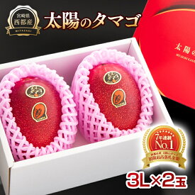 【ふるさと納税】西都市産 完熟マンゴー「太陽のタマゴ」3L×2玉 宮崎県 化粧箱入り「先行予約」数量限定＜2.8-2＞ 果物 フルーツ US