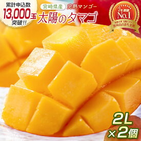 【ふるさと納税】宮崎県産 完熟マンゴー『太陽のタマゴ』2L×2個 西都市特産品【先行予約】令和9年収穫分 西都市産＜18-6a＞人気 さいと サイト ふるさと 先行予約 果物 フルーツ