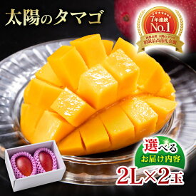 【ふるさと納税】宮崎県産 完熟マンゴー『太陽のタマゴ』2L×2個 選べる（発送月・定期便）西都市特産品【数量限定】 西都市産 人気 さいと サイト ふるさと 先行予約 果物 フルーツ☆