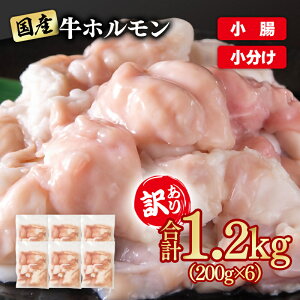 yӂ邳Ɣ[Łz󂠂苍z1.2kg 200g×6 Y z  ēp Y c R[Q1-300 YAMA