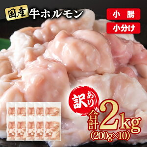 yӂ邳Ɣ[Łz󂠂苍z2kg 200g×10 Y z   ēp Y c R[Q1.4-37 YAMA