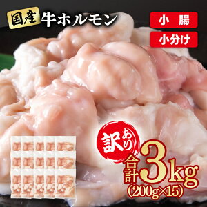 yӂ邳Ɣ[Łz󂠂苍z3kg 200g×15 Y z   ēp Y c R[Q2-111 YAMA