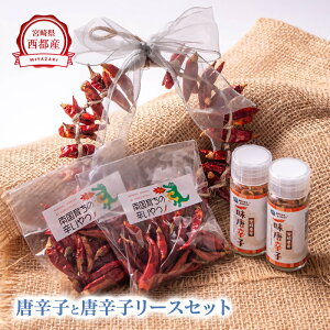 �y�ӂ邳�Ɣ[�Łz�{�茧���s�s�Y �������h�q�i��̒܁j�E�ꖡ���h�q�E���h�q����i���[�X�j�Z�b�g��1-297�� ��̒�