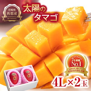 �y�ӂ邳�Ɣ[�Łz�ō����u�����h�w���z�̃^�}�S�x��� 4L×2�y���x15�x�ȏ�z�{�茧���s�s�Y���n�}���S�[��3.5-20���y��s�\��z2026�N���� �{�芮�n�}���S�[ �ʕ� �t���[�c �Â�DM